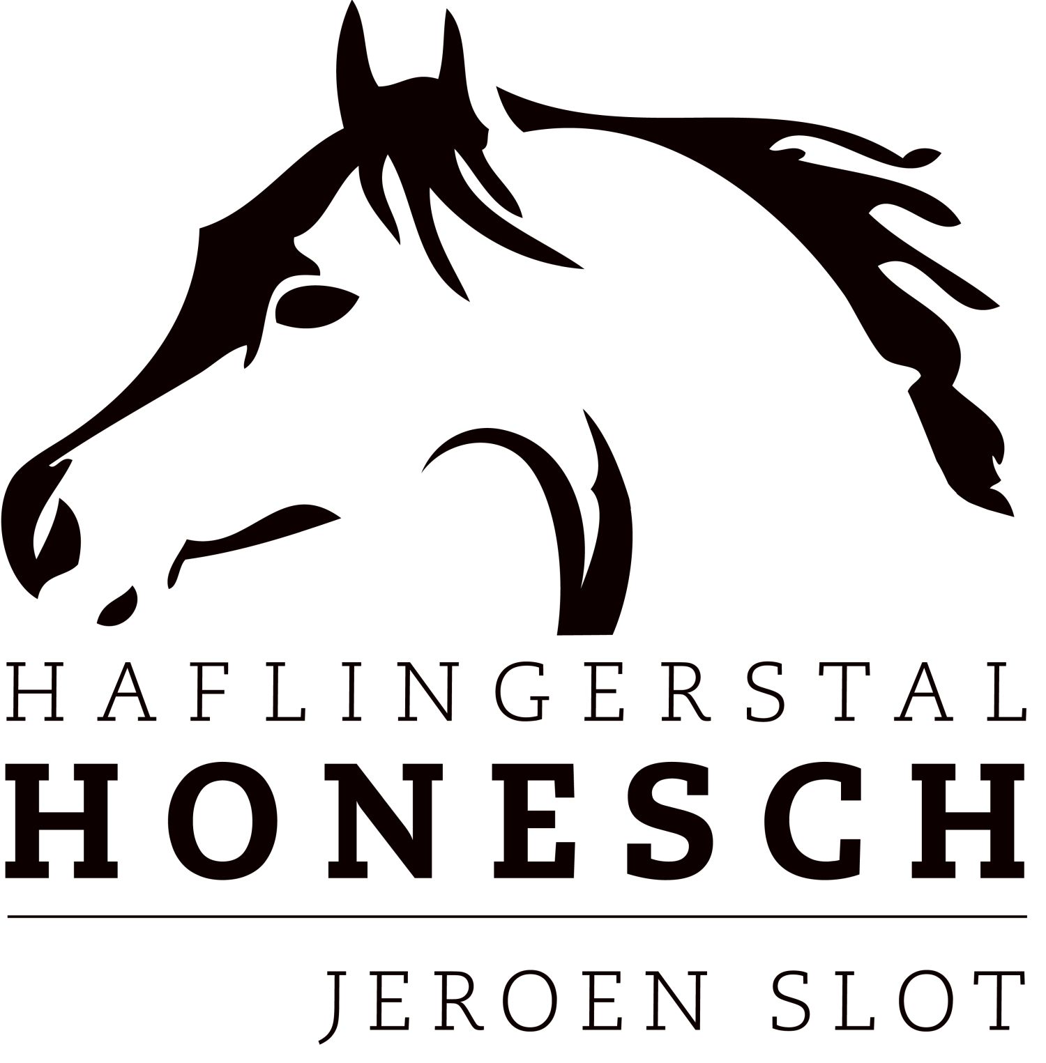 Stal Honesch logo zwartnaam verkleinert